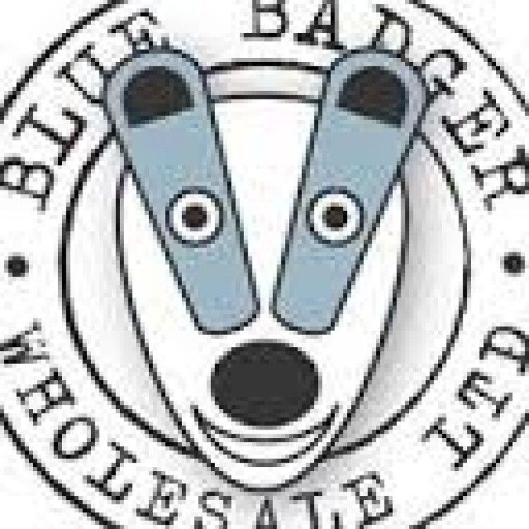 Blue Badger Logo - Blue Badger Delivery to Ireland