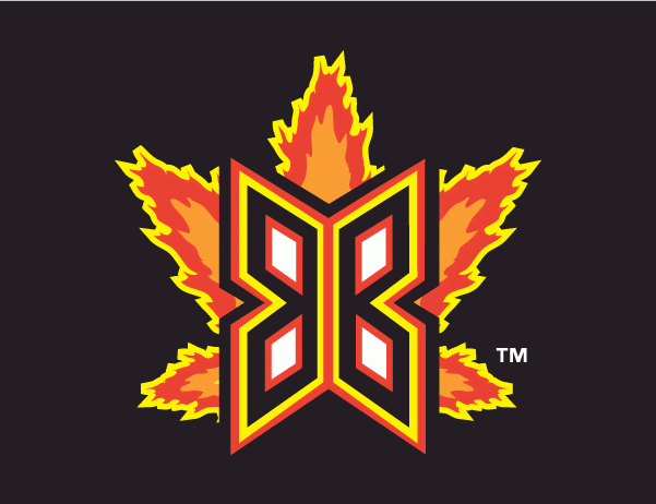 Bakersfield Blaze Logo - Bakersfield Blaze Cap Logo - California League (CAL) - Chris ...