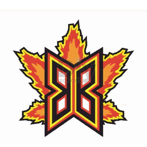 Bakersfield Blaze Logo - Bakersfield Blaze Logo Iron On Transfers (Heat Transfers) N7648