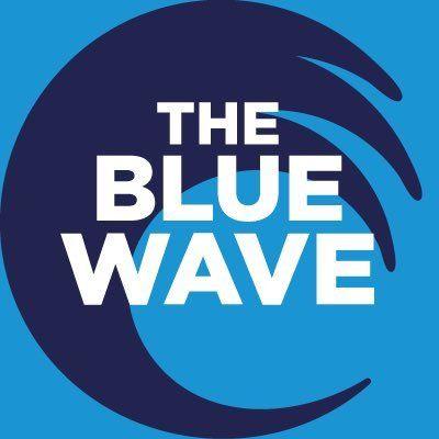 Blue Wave Logo - Blue Wave Donation - Leave.EU