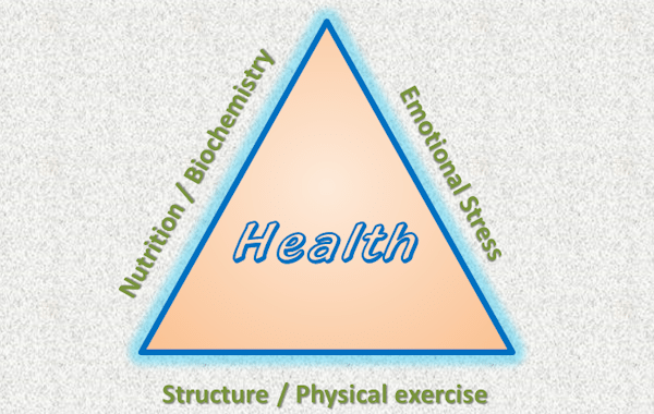 Triangle Health Logo - Three Elements of Health Triangle | Health Triangle Facts