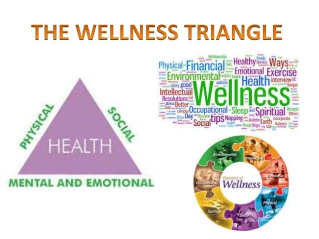 Triangle Health Logo - The Wellness Triangle