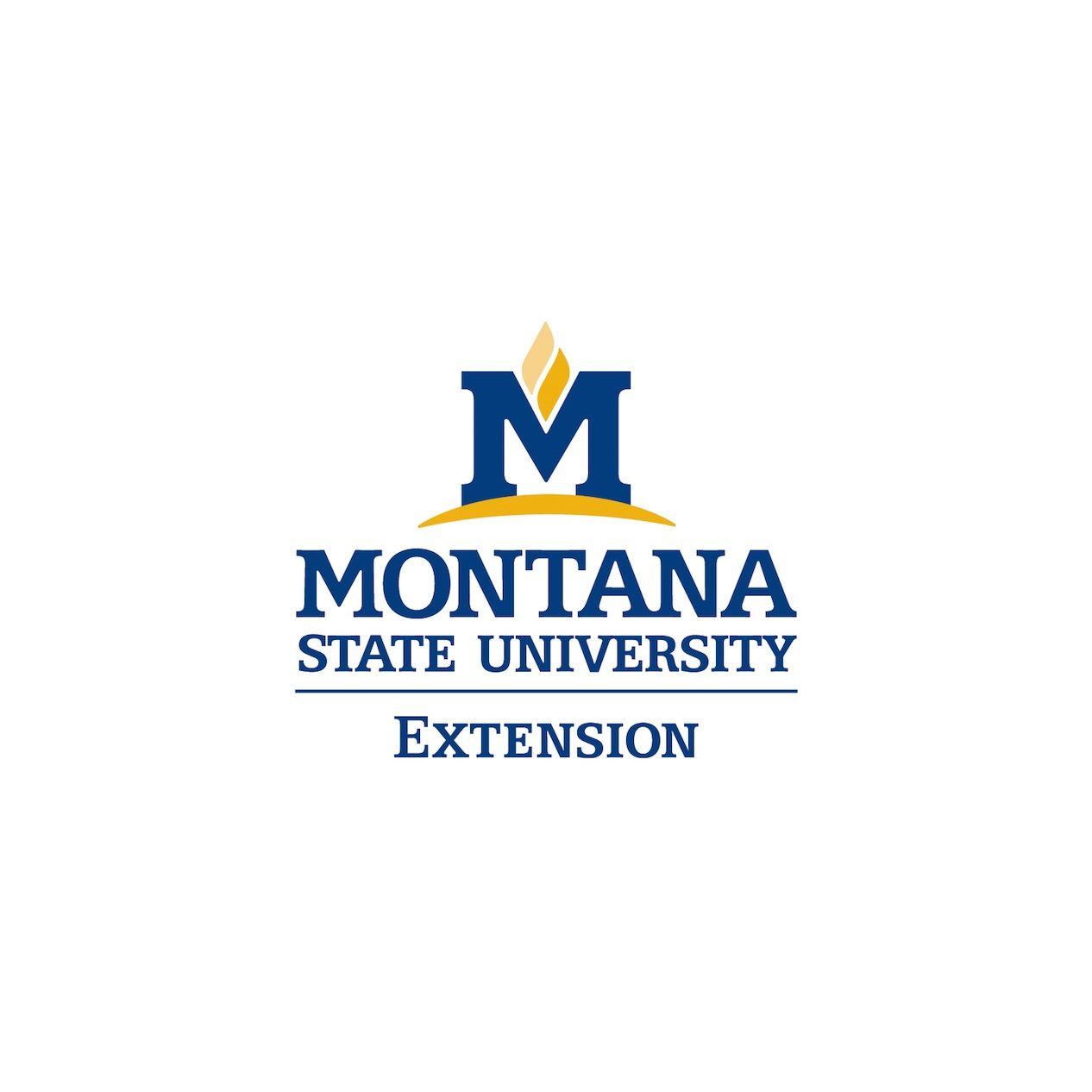 Three Letter News Logo - Pressroom - MSU News | Montana State University