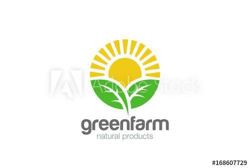 Sun and Green Logo - Sun rise Leaves Logo vector. Eco green Farm natural products