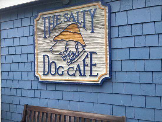 Salty Dog Logo - Cool Logo - Picture of Salty Dog Cafe, Hilton Head - TripAdvisor