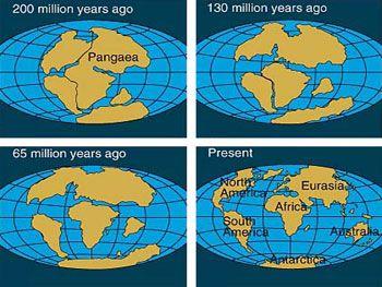 Continental Globe Logo - Continental Drift - Earth and Space - Find Fun Facts