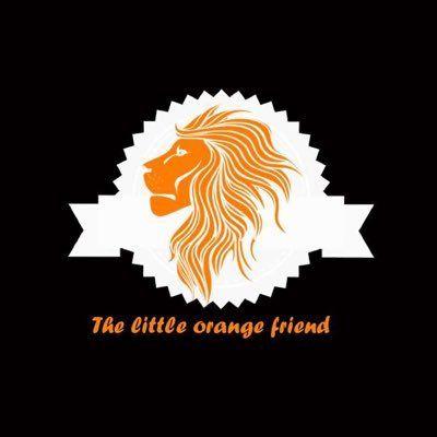 Little Orange Lion Logo - The Little Orange Friend