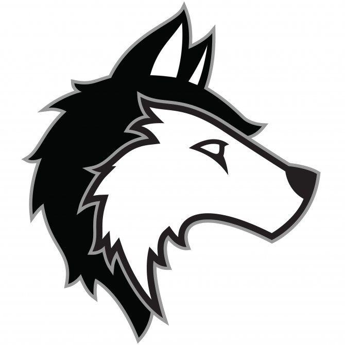 Husky Logo - UW-Marathon County Husky Logo | University of Wisconsin-Marathon County