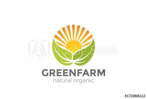 Sun and Green Logo - Green Natural Organic Farm Logo vector. Sun Leaves circle icon