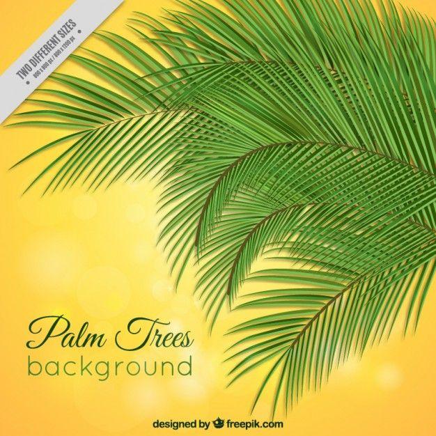 Yellow Palm Tree Logo - Palm trees on a yellow background Vector