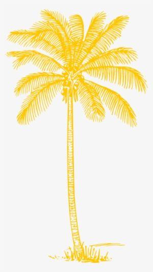 Yellow Palm Tree Logo - Palm Tree PNG Image. PNG Clipart Free Download on SeekPNG