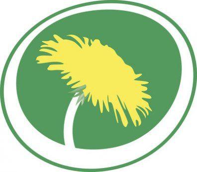 Green Pirate Logo - A pirate joins Sweden's Green Party