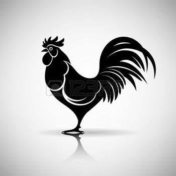 Black Chicken Logo - rooster's beak. Rooster, Rooster