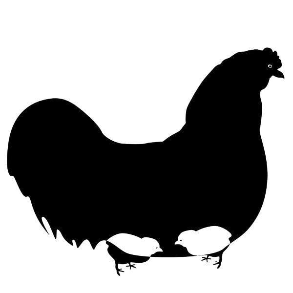 Black Chicken Logo - Free stock photos - Rgbstock - Free stock images | Hen with chicks ...