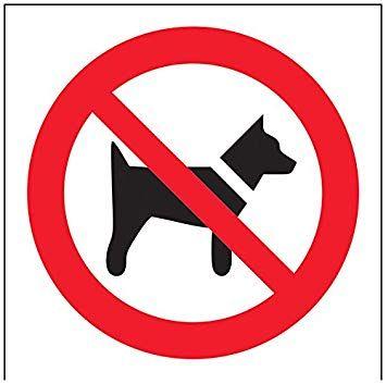 S a Red Square Logo - VSafety 51007AF S Prohibition Logo Sign, Self Adhesive, No Dogs