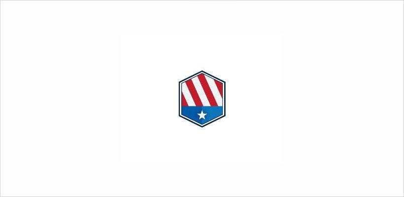 Best Shield Logo - 20+ Shield Logo Designs, Ideas, Examples | Design Trends - Premium ...