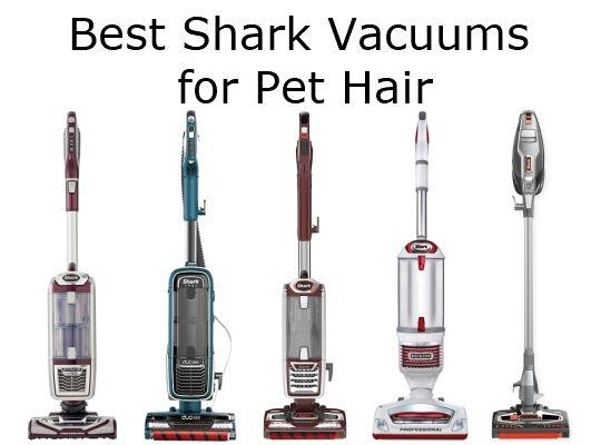 Shark Vacuum Logo - Vacuum Cleaner Reviews