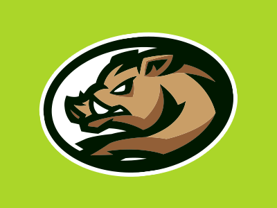 Boar Sports Logo - Running Boar | Sports logo's | Logos, Sports logo, Logo design