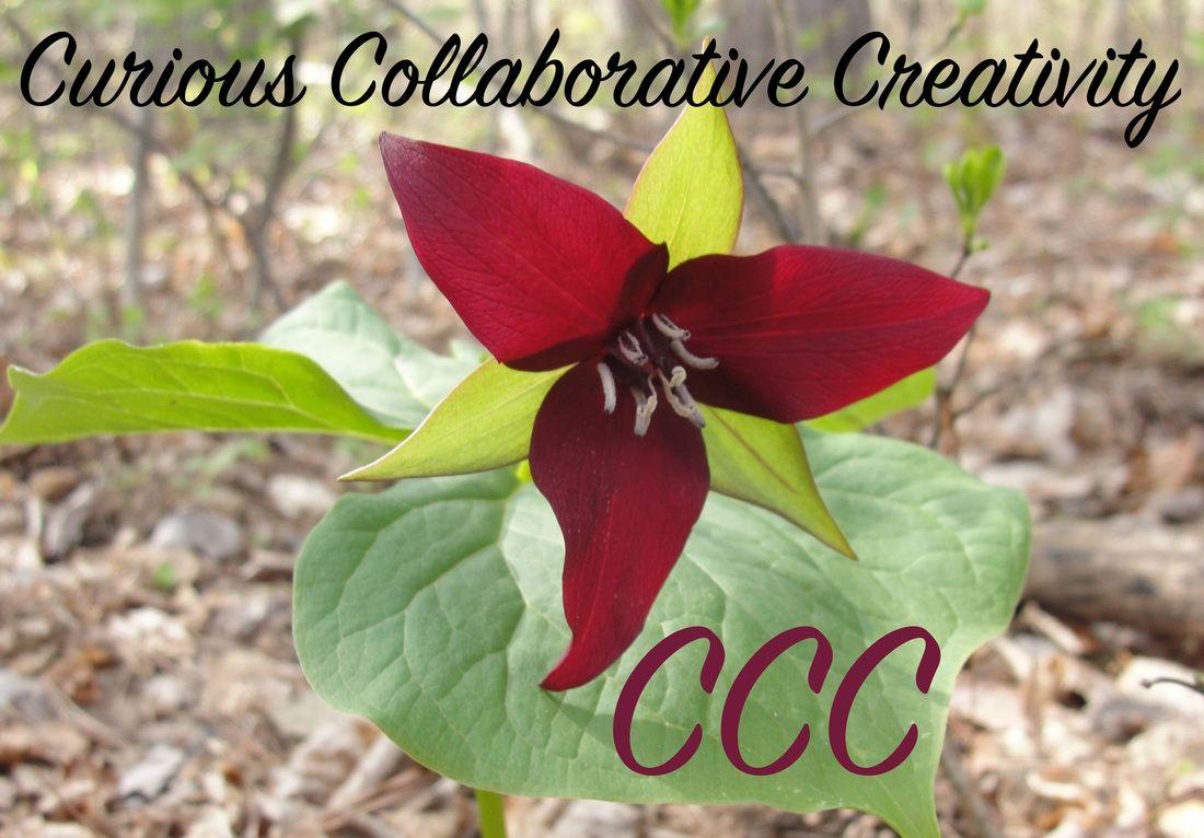 Green Flower with Red Petal Logo - Our Logo - CCC