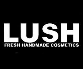 LUSH Cosmetics Logo - Lush Cosmetics wins award for “above and beyond” commitment to