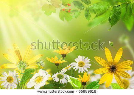 Yellow and Green Flower Logo - Green and yellow flower Logos