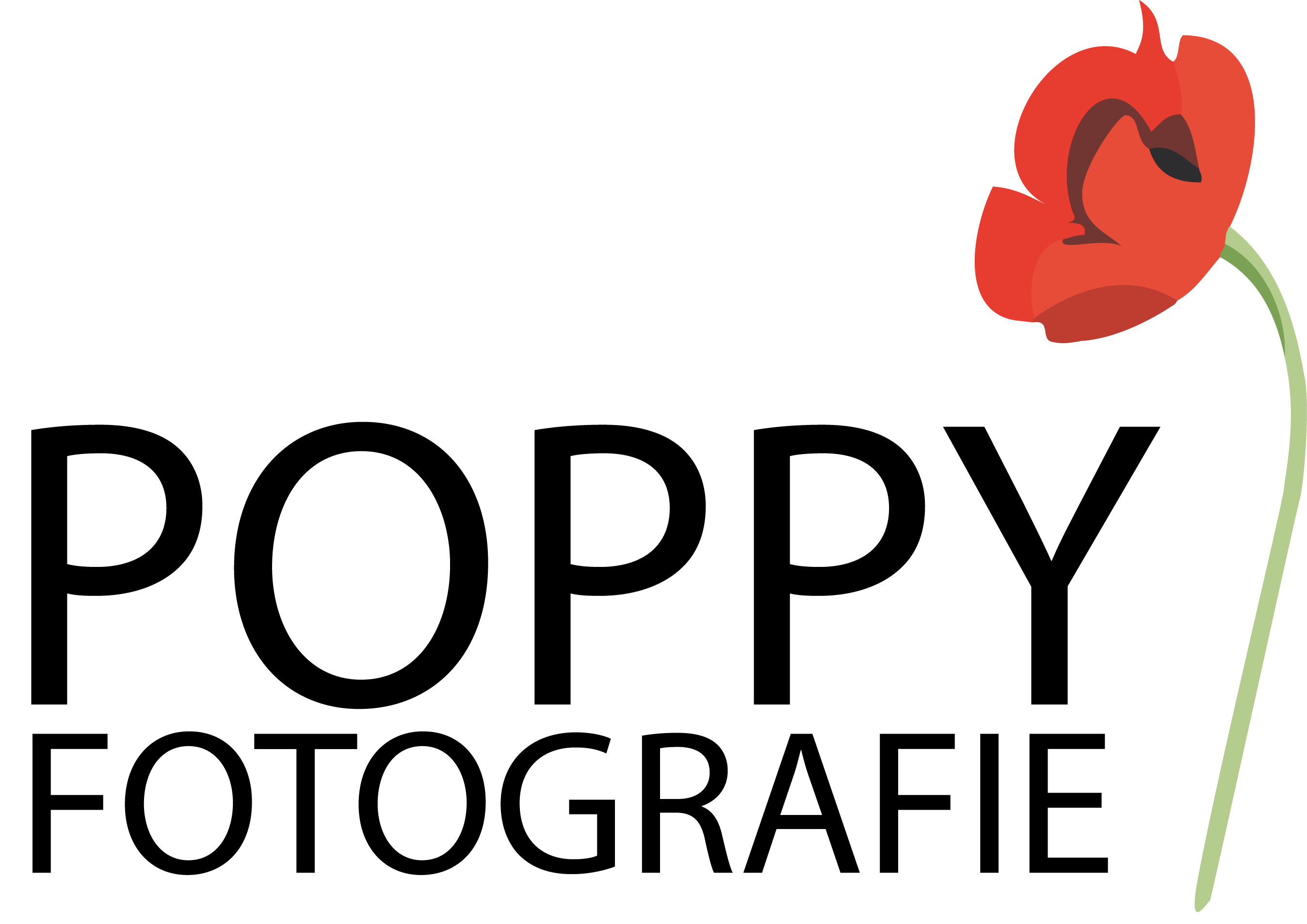 Poppy Logo - Poppy Fotografie logo | Nick Betting