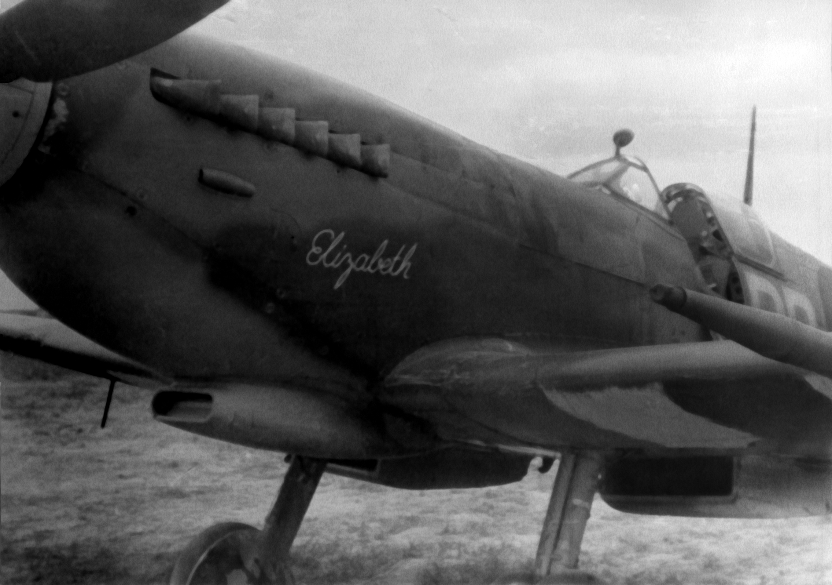 Spitfire Grizzly Logo - Spitfire NH341 'Elizabeth's' Legendary Pilots - Aero Legends