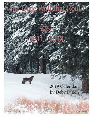 Spitfire Grizzly Logo - 2019 Calendars | In Memory of Spitfire 2019 Calendar | MagCloud