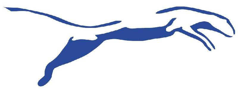 Blue Puma Logo - Picture of Blue Puma Logo