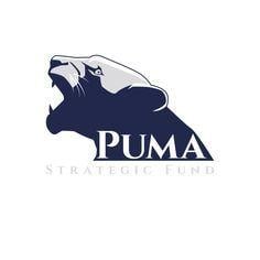 Blue Puma Logo - Best Pumas logos image. Black panther, Draw, Tiger tattoo