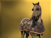 Roman War Horse Logo - Horse. Assassin's Creed