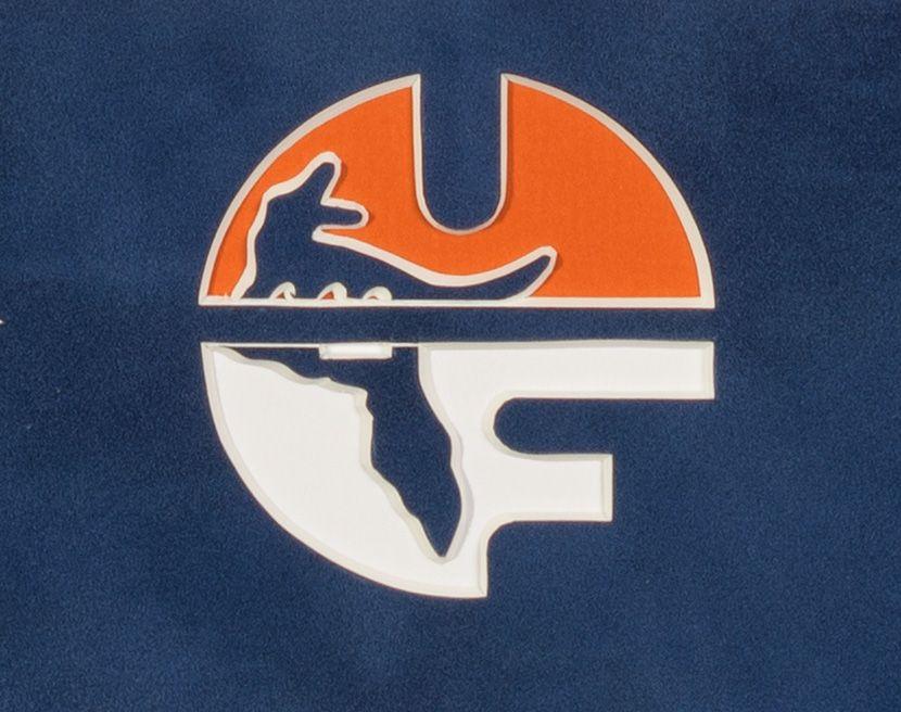 UF Logo - UNIVERSITY OF FLORIDA DIPLOMA FRAME WITH CLASSIC LOGO - Talking Walls