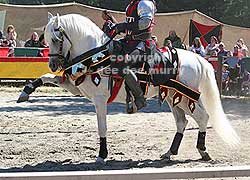 Roman War Horse Logo - Andalusian Horse