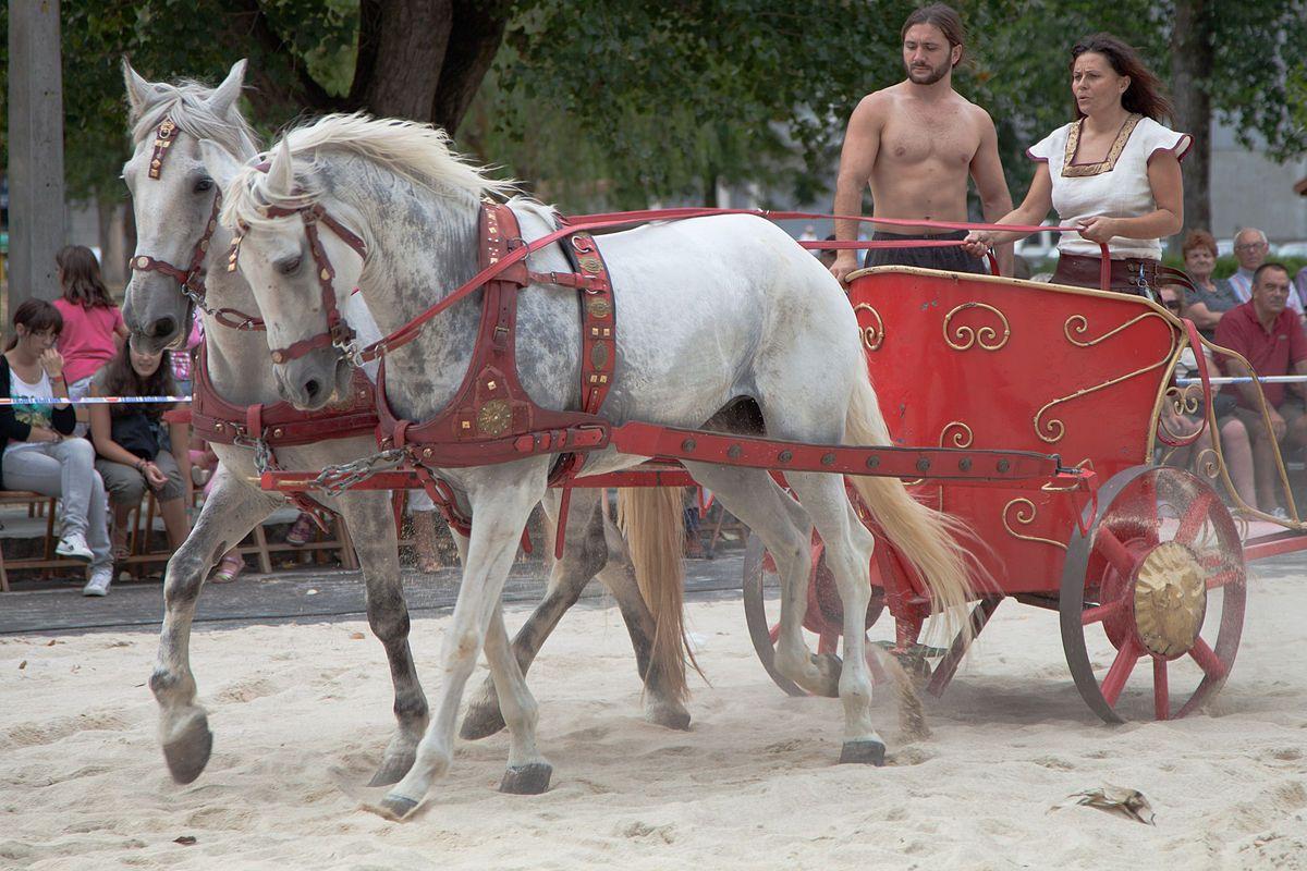 Roman War Horse Logo - Chariot