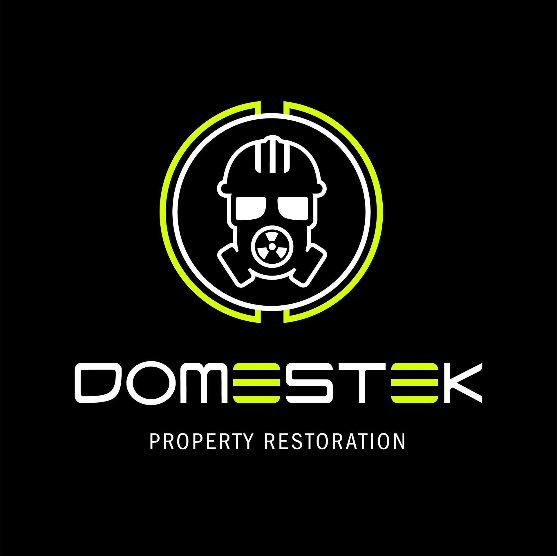 Green and Black Logo - Naomi Hia - Domestek Logo and Vehicle Wrap Design