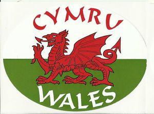 Red Oval Automotive Logo - Cymru Wales Welsh Red Dragon Flag Oval External Car Bumper ...