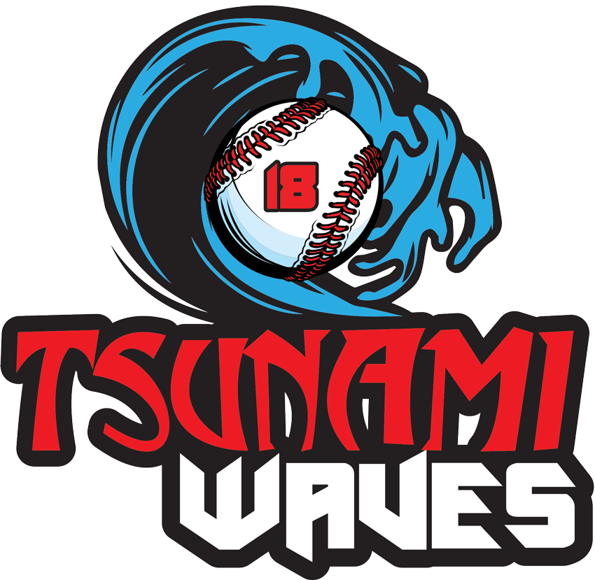 Tsunami Wave Logo - Tsunami Waves Foundation | Founded by Carlos Martinez