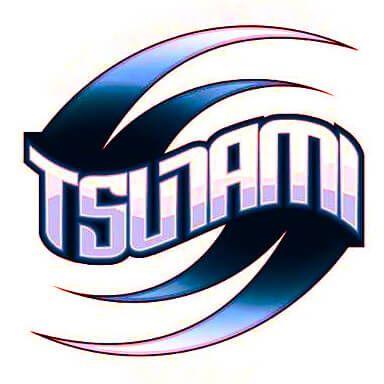 Tsunami Wave Logo - Tsunami (Wave Hockey) - ARL - Adult Rookie League