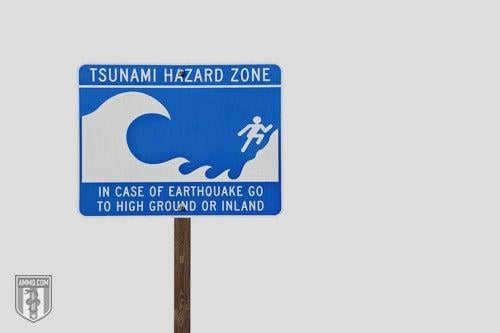 Tsunami Wave Logo - Tsunami Preparedness: A Seismic Wave Survival Guide