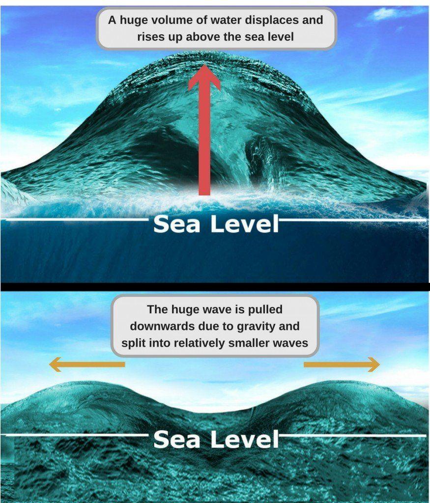 Tsunami Wave Logo - The Science Of A Tsunami: What Causes Tides To Become So Gigantic