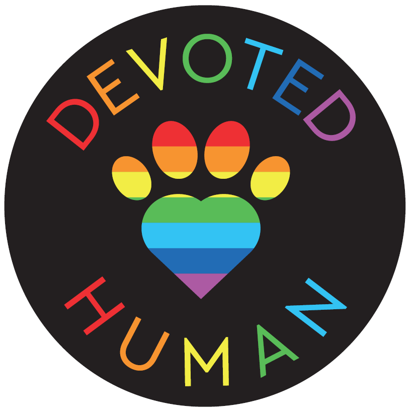 Round Rainbow Logo - Round Rainbow Devoted Human Vinyl Sticker - black