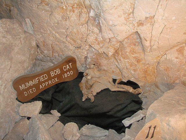 Grand Canyon Caverns Logo - The Grand Canyon Luxury Suite That Is Also A Cave - Atlas Obscura