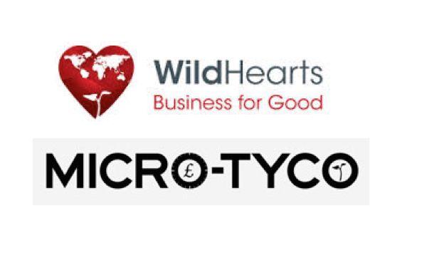 Tyco Logo - Micro Tyco Wild Heart