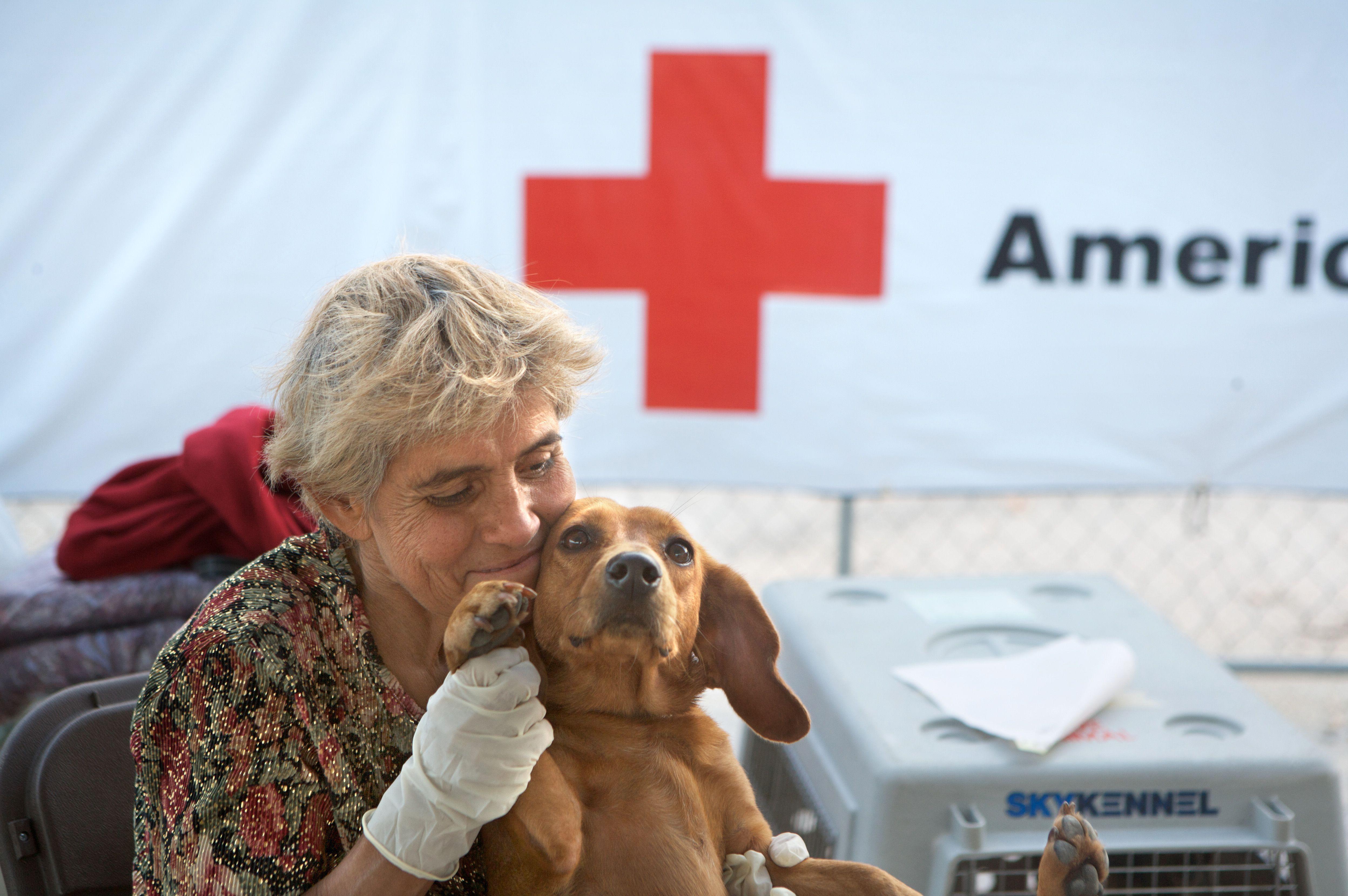 Red Cross Animals Logo - Animals | American Red Cross SE WI Blog