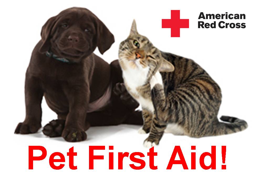 Red Cross Animals Logo - Community Partners | Animal Medical Center Emergency & Referral