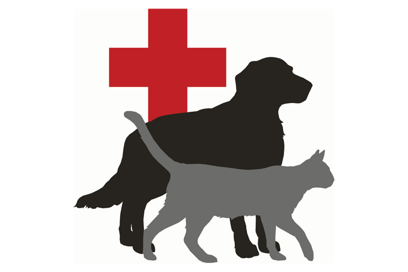 Red Cross Animals Logo - Pet First Aid Center | Emergency Situations