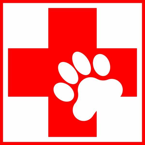 Red Cross Animals Logo - First Aid Class Registration | Mardi Gras Pet Expo