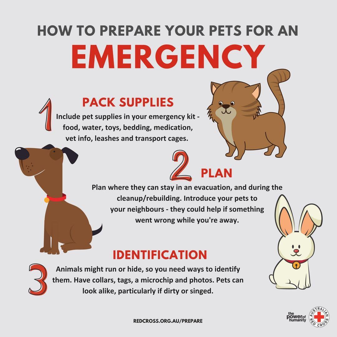 Red Cross Animals Logo - Prep Blog 3: Prepare your Pets | Australian Red Cross