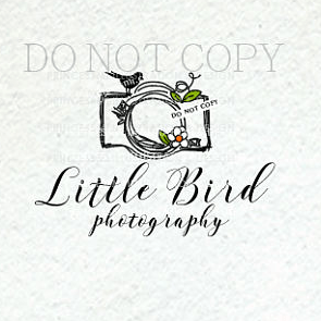 Bird Photography Logo - 1185 19 Photography Logo, Camera Logo, Premade Logo Design, Bird