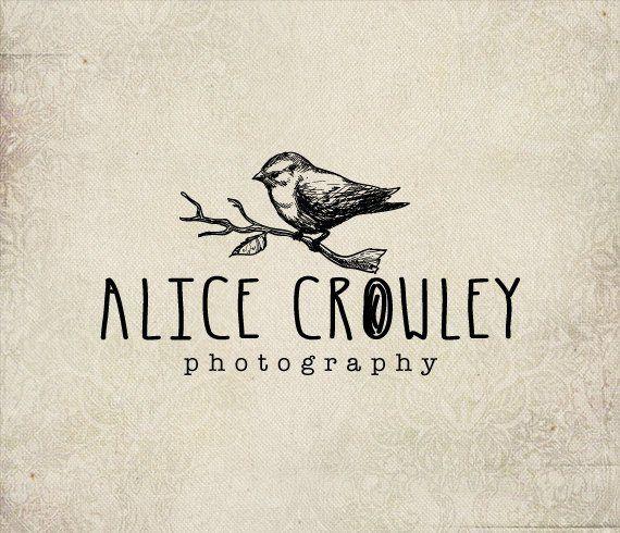 Bird Photography Logo - Bird photography logo Eps and Png file watermark Premade